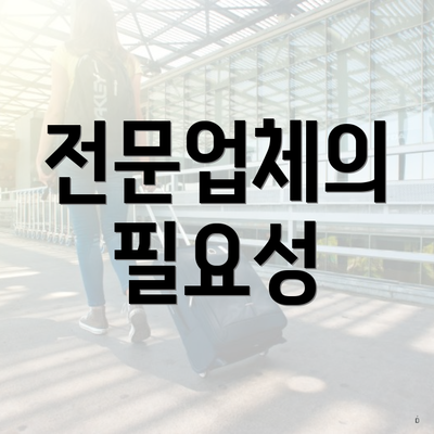 전문업체의 필요성