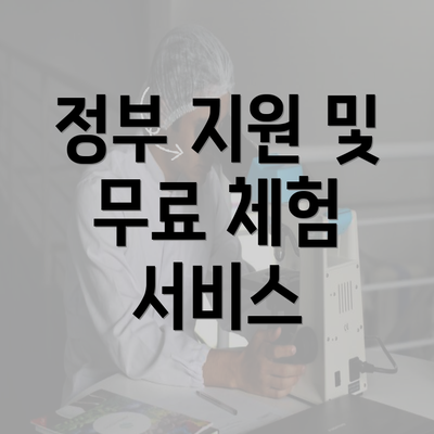 정부 지원 및 무료 체험 서비스