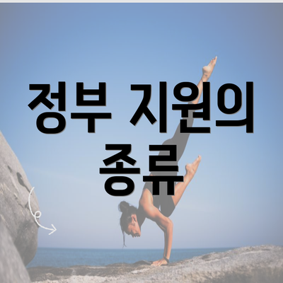 정부 지원의 종류