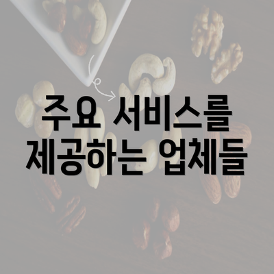 주요 서비스를 제공하는 업체들