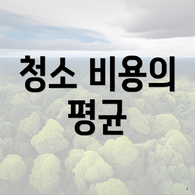 청소 비용의 평균