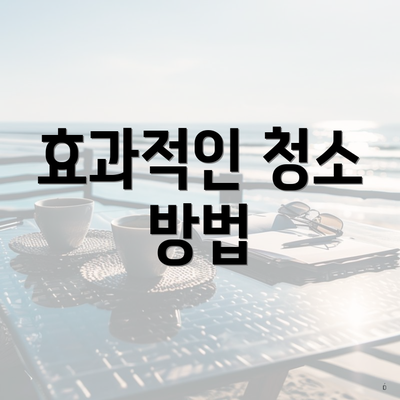 효과적인 청소 방법