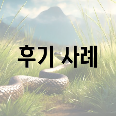 후기 사례