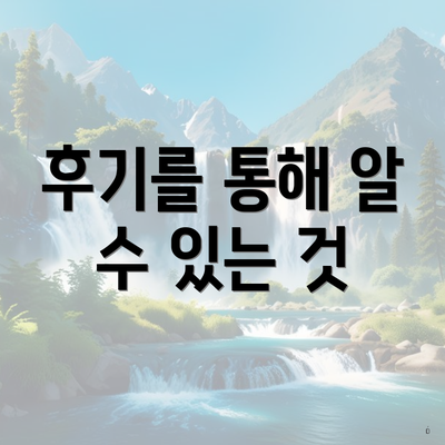 후기를 통해 알 수 있는 것