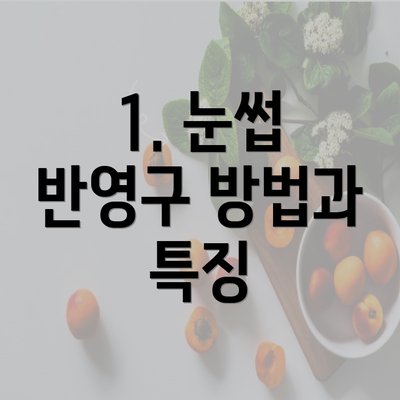 1. 눈썹 반영구 방법과 특징