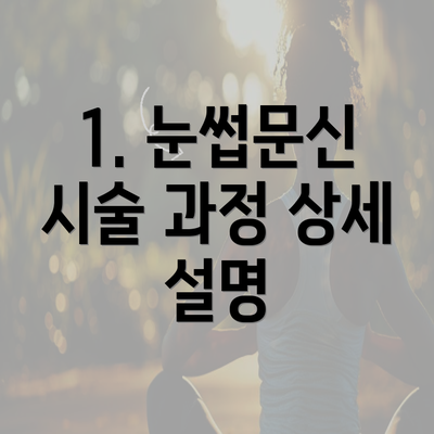 1. 눈썹문신 시술 과정 상세 설명