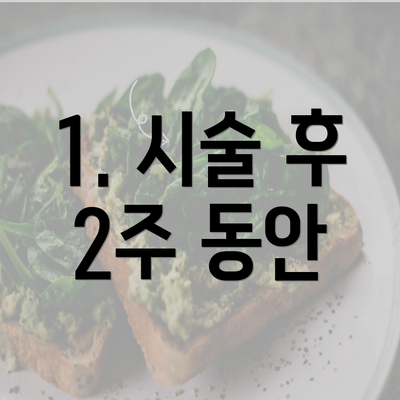 1. 시술 후 2주 동안