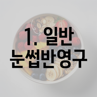 1. 일반 눈썹반영구