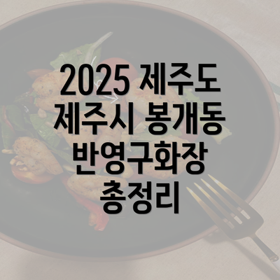 2025 제주도 제주시 봉개동 반영구화장 총정리