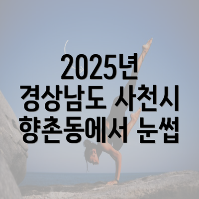 2025년 경상남도 사천시 향촌동에서 눈썹