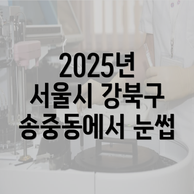 2025년 서울시 강북구 송중동에서 눈썹