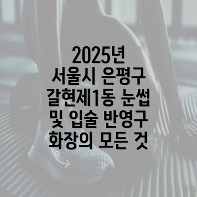 2025년 서울시 은평구 갈현제1동 눈썹 및 입술 반영구 화장의 모든 것