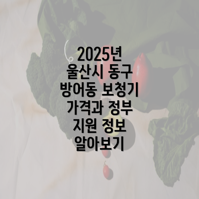 2025년 울산시 동구 방어동 보청기 가격과 정부 지원 정보 알아보기