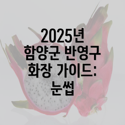 2025년 함양군 반영구 화장 가이드: 눈썹