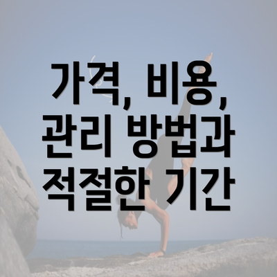 가격, 비용, 관리 방법과 적절한 기간