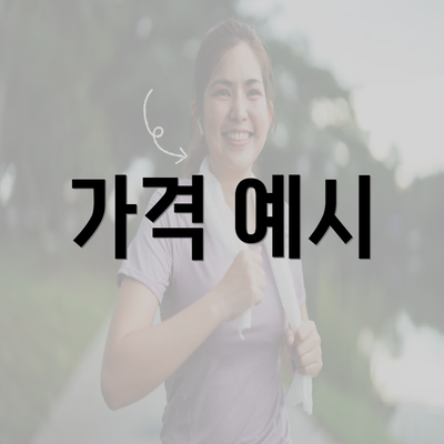 가격 예시