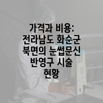 가격과 비용: 전라남도 화순군 북면의 눈썹문신 반영구 시술 현황