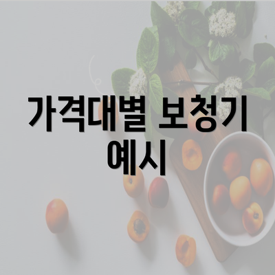 가격대별 보청기 예시