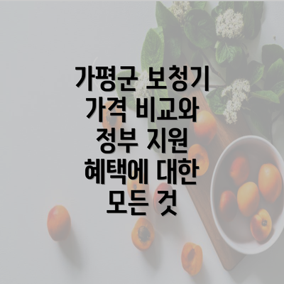 가평군 보청기 가격 비교와 정부 지원 혜택에 대한 모든 것