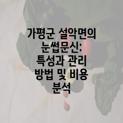 가평군 설악면의 눈썹문신: 특성과 관리 방법 및 비용 분석