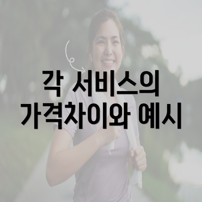 각 서비스의 가격차이와 예시