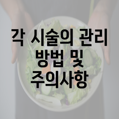 각 시술의 관리 방법 및 주의사항