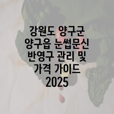 강원도 양구군 양구읍 눈썹문신 반영구 관리 및 가격 가이드 2025