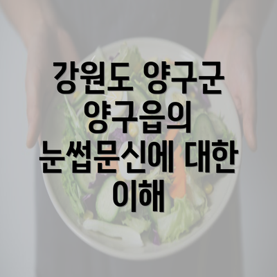 강원도 양구군 양구읍의 눈썹문신에 대한 이해