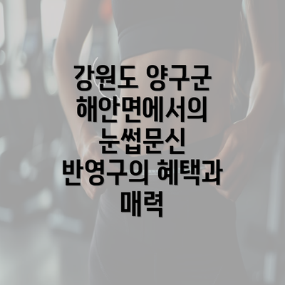 강원도 양구군 해안면에서의 눈썹문신 반영구의 혜택과 매력