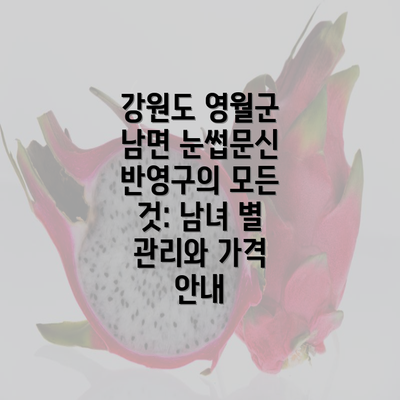 강원도 영월군 남면 눈썹문신 반영구의 모든 것: 남녀 별 관리와 가격 안내