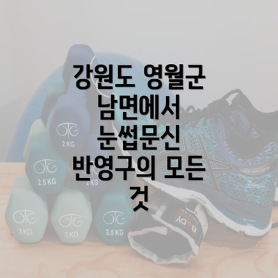 강원도 영월군 남면에서 눈썹문신 반영구의 모든 것