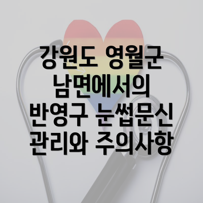 강원도 영월군 남면에서의 반영구 눈썹문신 관리와 주의사항