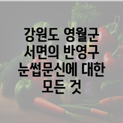 강원도 영월군 서면의 반영구 눈썹문신에 대한 모든 것