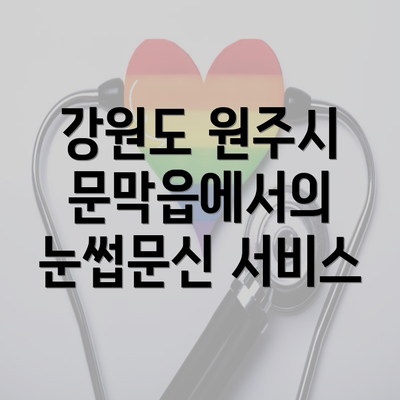 강원도 원주시 문막읍에서의 눈썹문신 서비스