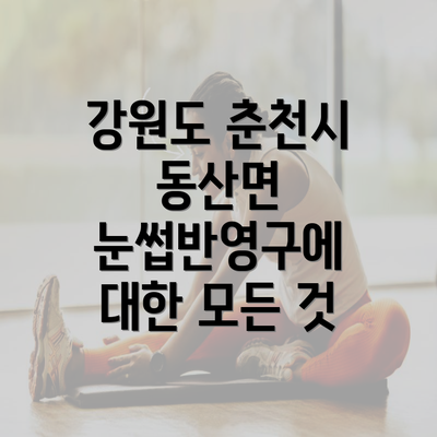 강원도 춘천시 동산면 눈썹반영구에 대한 모든 것