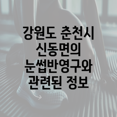 강원도 춘천시 신동면의 눈썹반영구와 관련된 정보