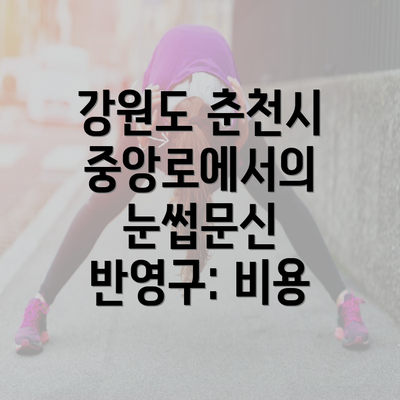 강원도 춘천시 중앙로에서의 눈썹문신 반영구: 비용