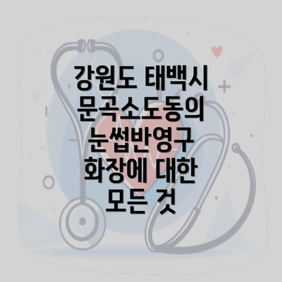 강원도 태백시 문곡소도동의 눈썹반영구 화장에 대한 모든 것