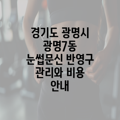 경기도 광명시 광명7동 눈썹문신 반영구 관리와 비용 안내