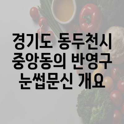 경기도 동두천시 중앙동의 반영구 눈썹문신 개요