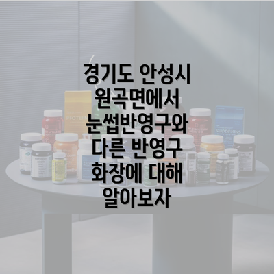 경기도 안성시 원곡면에서 눈썹반영구와 다른 반영구 화장에 대해 알아보자