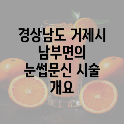 경상남도 거제시 남부면의 눈썹문신 시술 개요