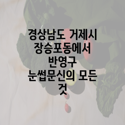 경상남도 거제시 장승포동에서 반영구 눈썹문신의 모든 것