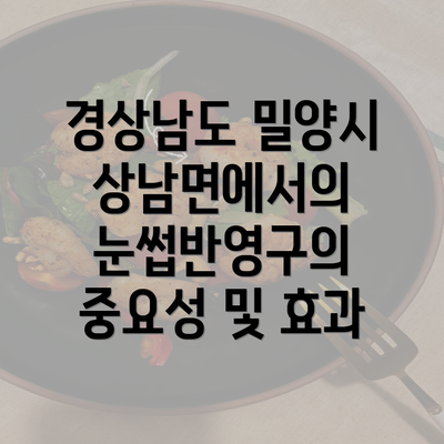 경상남도 밀양시 상남면에서의 눈썹반영구의 중요성 및 효과