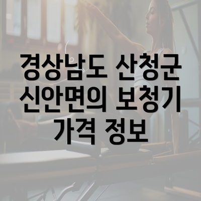 경상남도 산청군 신안면의 보청기 가격과 정부지원 정보 A to Z