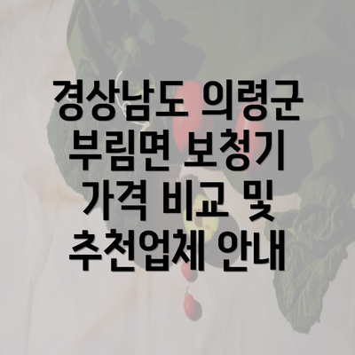 경상남도 의령군 부림면 보청기 가격 비교 및 추천업체 안내