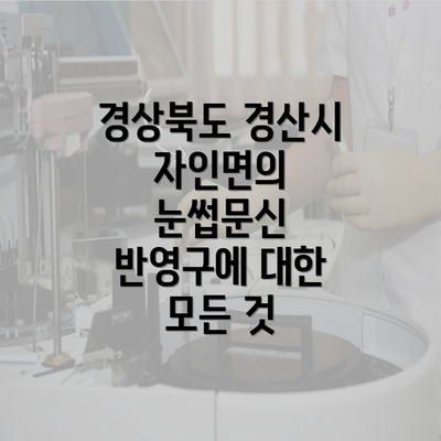 경상북도 경산시 자인면의 눈썹문신 반영구에 대한 모든 것