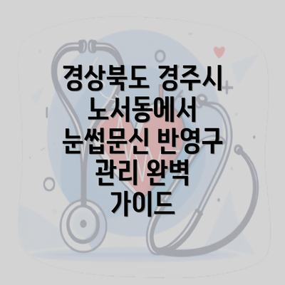 경상북도 경주시 노서동에서 눈썹문신 반영구 관리 완벽 가이드