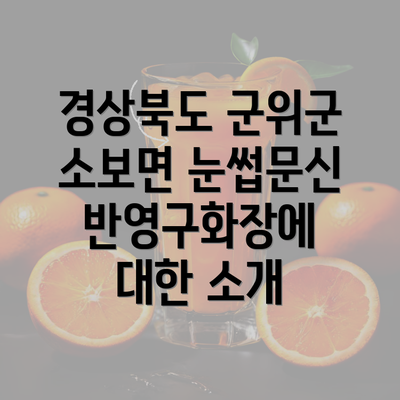 경상북도 군위군 소보면 눈썹문신 반영구화장에 대한 소개