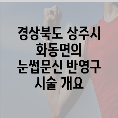 경상북도 상주시 화동면의 눈썹문신 반영구 시술 개요